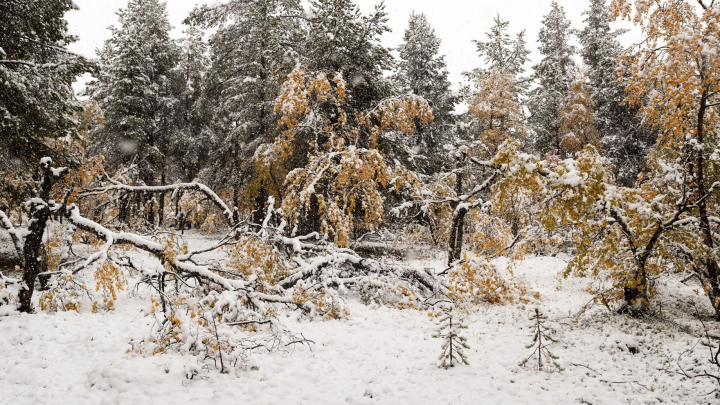 Nordic winter arrives, may linger