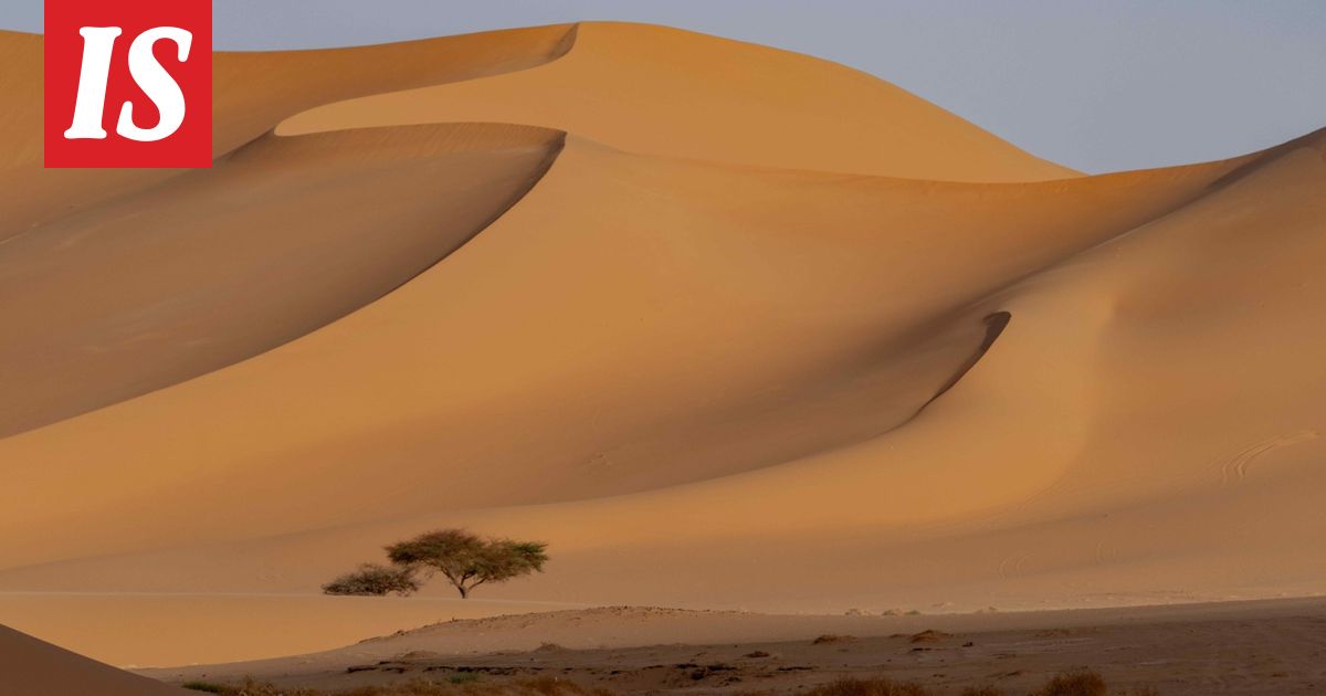 Kuorma-auto hajosi keskellä Saharan aavikkoa – ainakin 49 kuollut janoon
