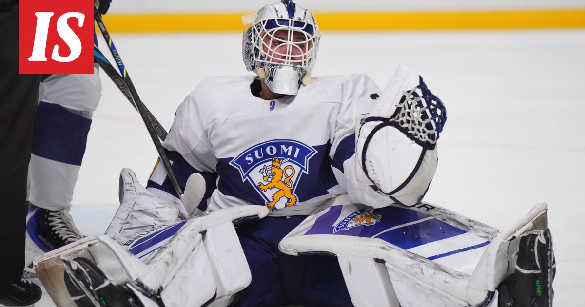 Karmeaa ryöpytystä! Pikku­leijonat tyrmättiin heti täysin