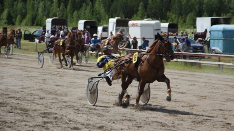 Mäntässä ravataan Keuruun paikallisravit 23. toukokuuta.