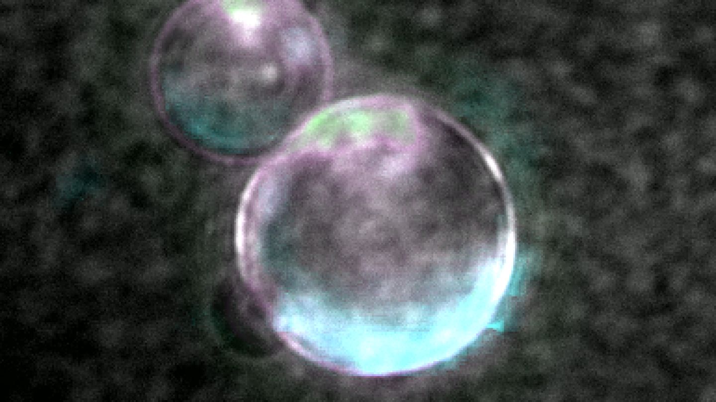 Scientists create first artificial cell from non-living materials