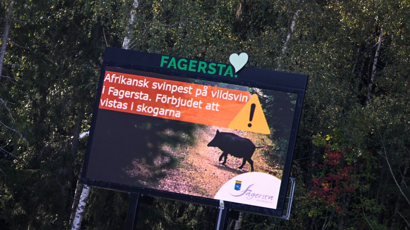 Älä tuo tappavaa tautia Virosta