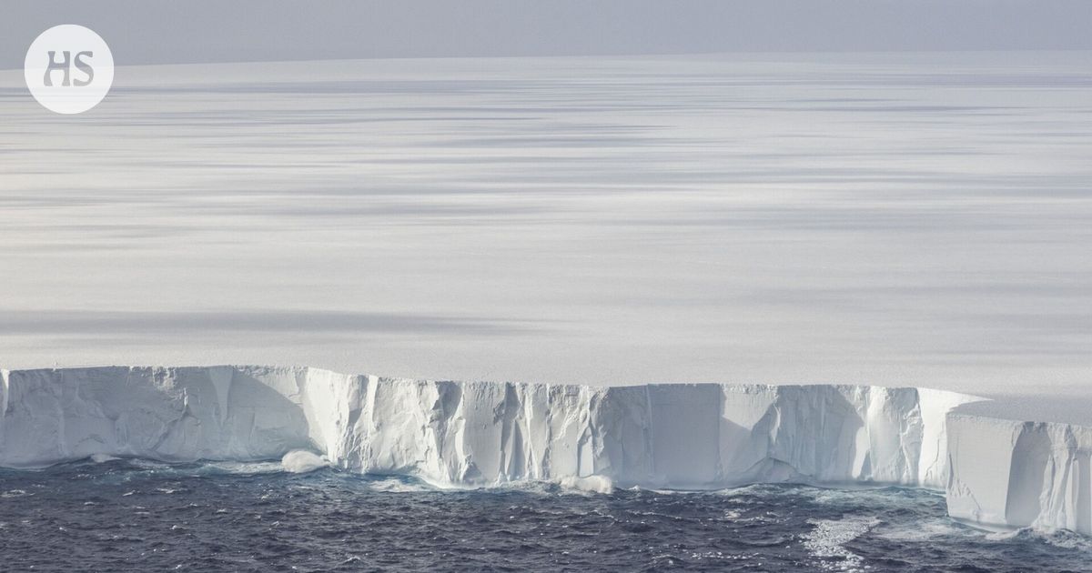 The world’s largest iceberg A23a got stuck to the bottom before a collision in South Georgia