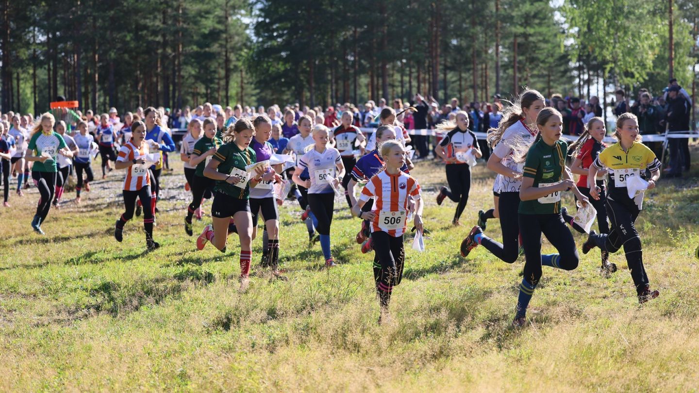 Urheilulehti