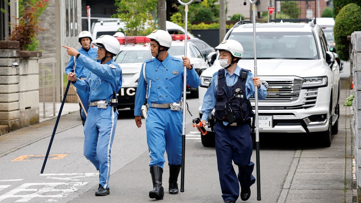 At least five people dead in bear attacks in Japan