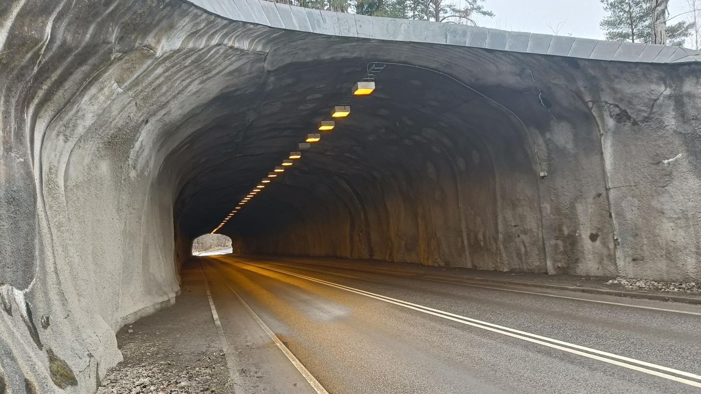 Swallow Nests Halt Fiskars Tunnel Renovation for Weeks