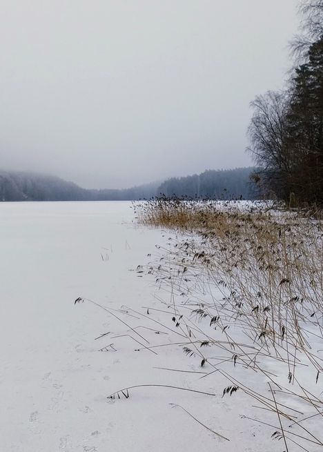 Vihnusjärvi häipyi sumuun 9.2.2025. Kuvaaja: Marketta Sorsa
