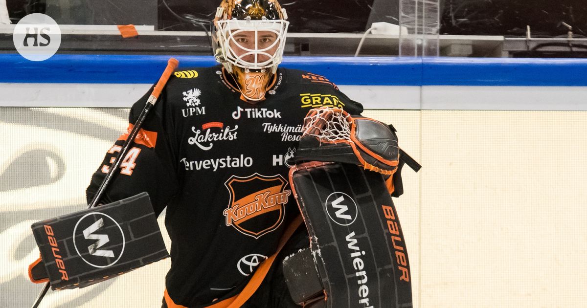 Tappara Kookoo, selitettynä — image 2