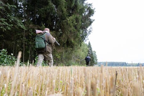 Walleniukset aikovat palata pellon laidalle myös keskiviikkona, vaikka saalis jäi tiistaina saamatta. – Jossain vaiheessa tuuri kääntyy.