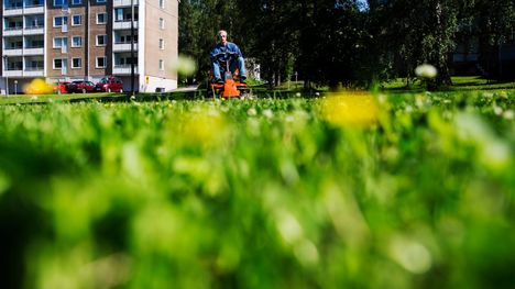 Lähes kaikki lasten vakavat ruohonleikkurivammat liittyvät päältä ajettaviin leikkureihin. Kuvituskuva.
