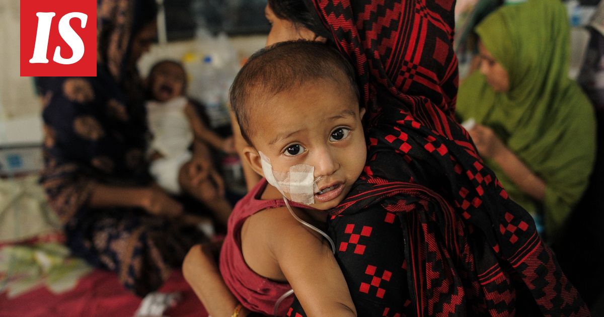 Bangladesh hätärokottaa – jo sata lasta kuollut vaaralliseen tautiin