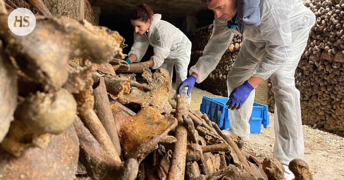 There are millions of skeletons under Paris, and now their secrets are revealed: “It’s surprising that this has not been studied”