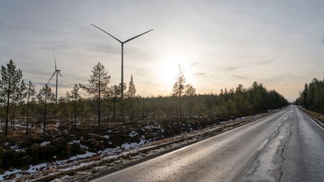 Suomen suurimpaan tuulivoimapuistoon Lestijärvelle on noussut 69 tuulivoimalaitosta. Voimaloiden pystytys valmistui kesäkuussa 2025. Kuva marraskuulta 2024.