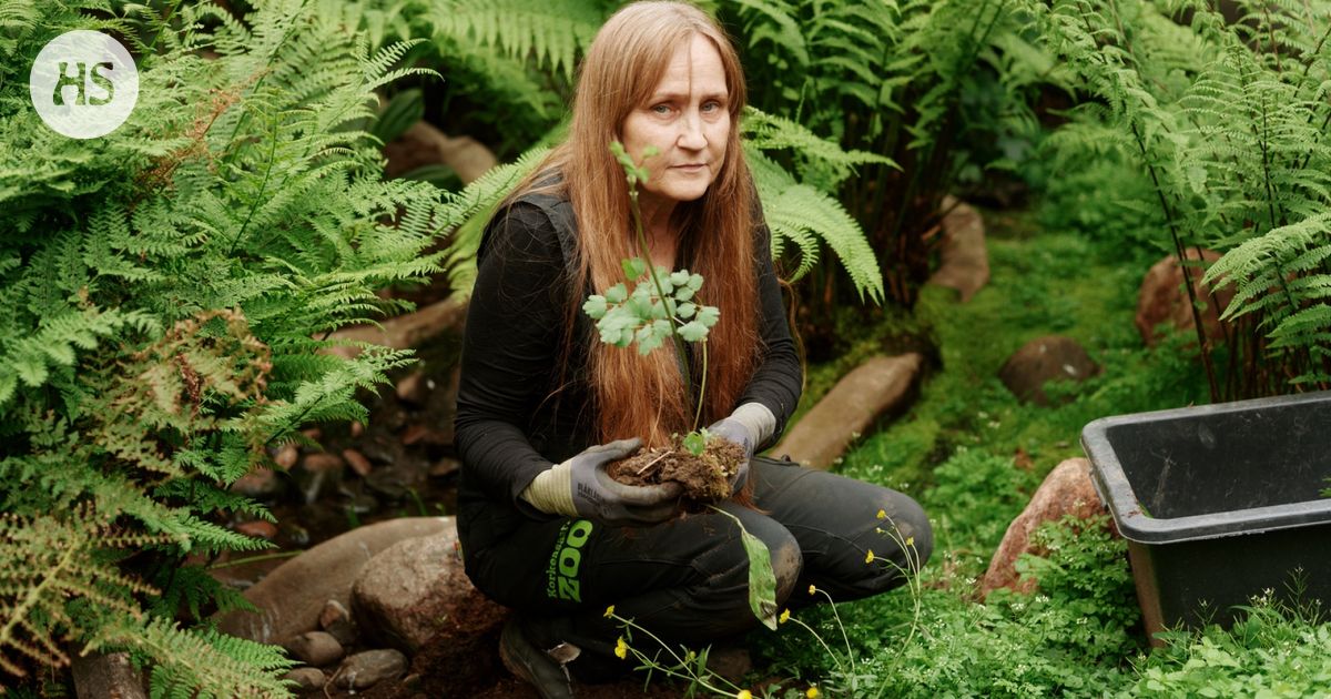 Kuukausiliite | Korkeasaaressa on menossa vallankumous, joka tekee eläimille ihmeitä