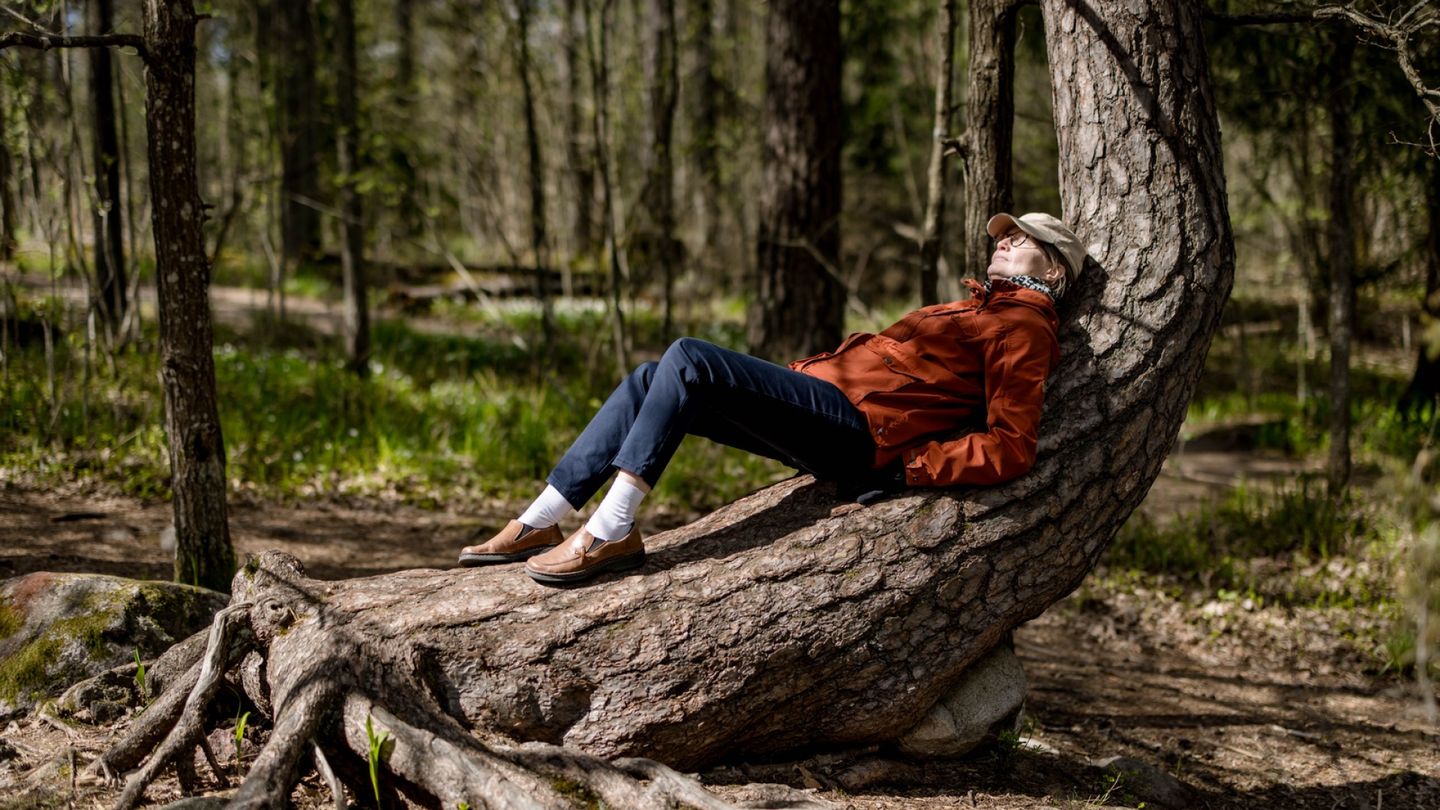 A Tiny Fairytale Forest Thrives Next to Vantaa's Shopping Center