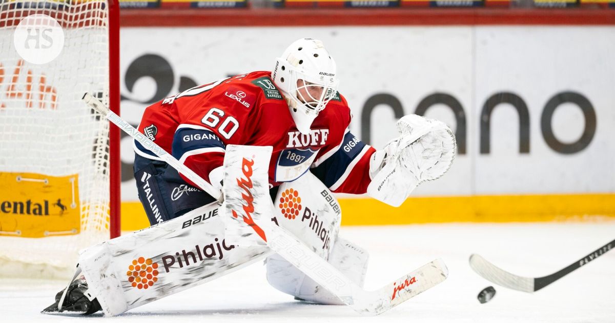 HIFK: Hugo Alnefelt will continue in the team for the rest of the season