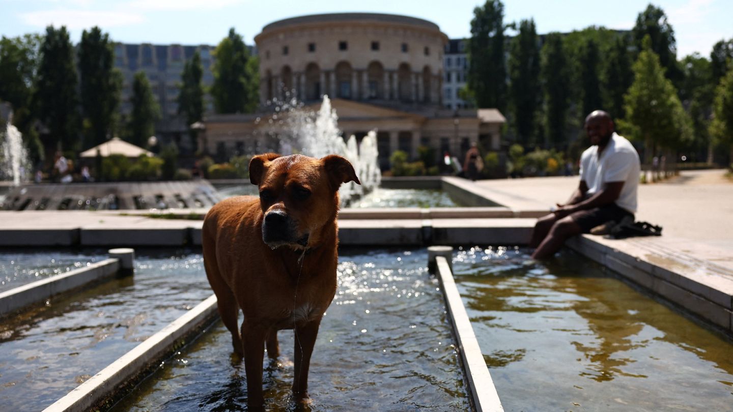 Heatwave hits France: Dozens of train services canceled, schools face closure