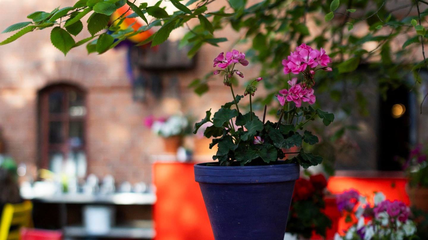 Critic's Favorite Spot: Tampere's Most Atmospheric Terrace