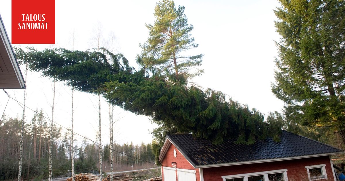 Tuuli nousemassa myrskylukemiin – näin suojaat kotisi