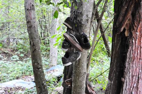 Shoes hanging in the forest.