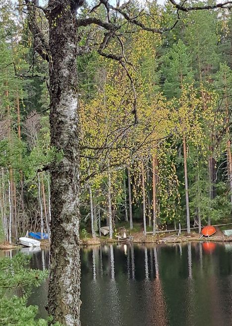 Paula Lindström lähetti toimitukseen kuvan Alisen toukokuusta.