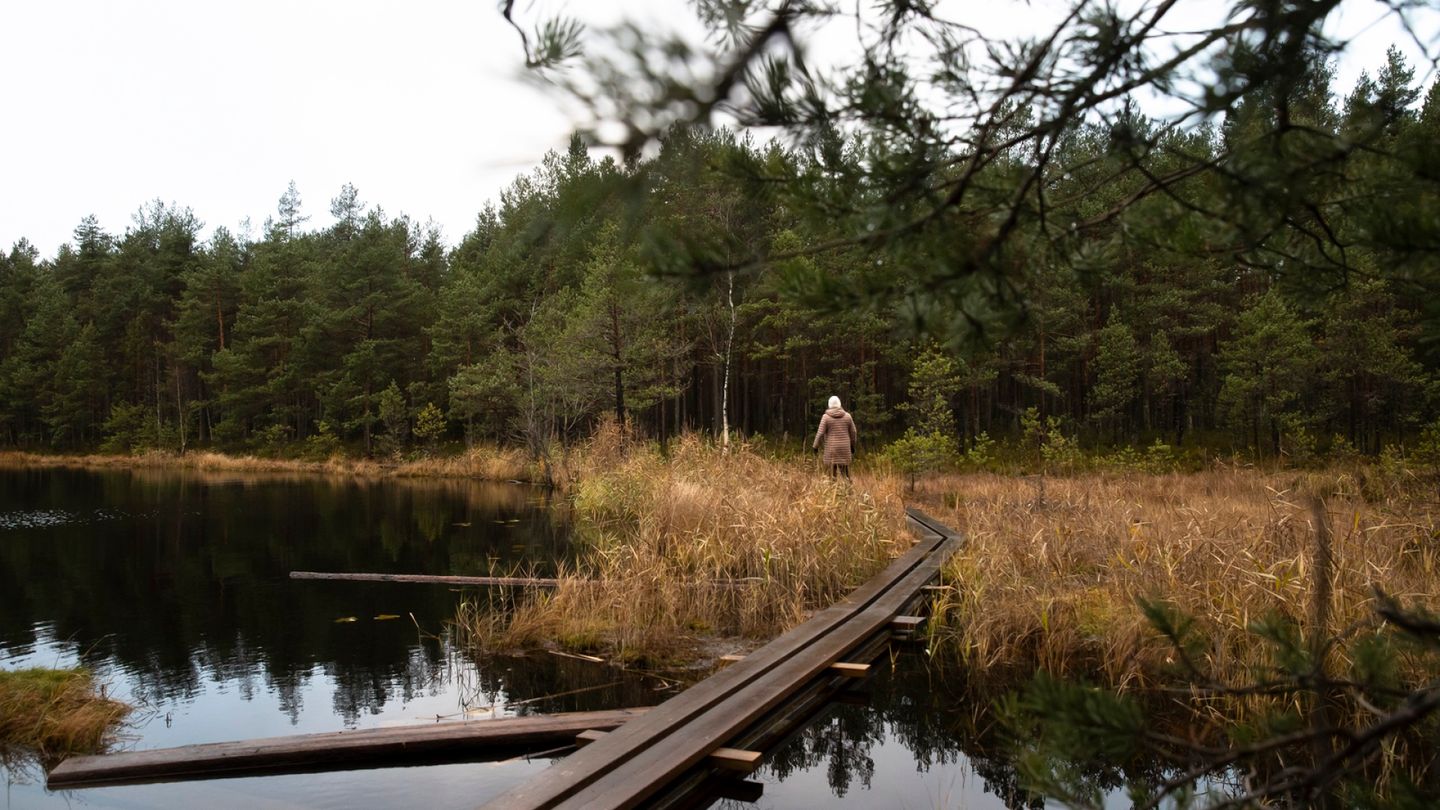 Syysloma | Kymmenen helppoa ja upeaa luonto­kohdetta lähellä Helsinkiä
