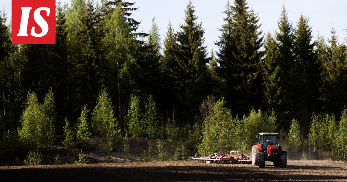 Traktorivaras esitteli veistä, käytti huumeita ja oli ajaa pyöräilijän päälle Vaasassa