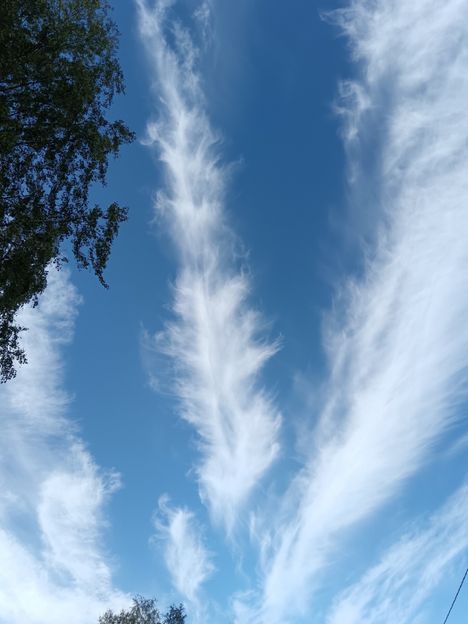 Hienoja pilviä. 28.8.2025.