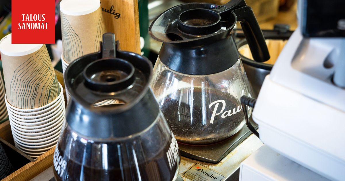 Suomalaisten suosikkikahvi uhkaa hävitä – näin se pyritään pelastamaan