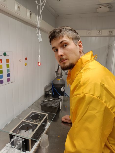 Kimmo Kaakisen tutkimus keskittyy kimalaisiiin. Kuvassa kaksi pesää.