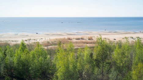 Mikä on Suomen pisin hiekkaranta? Me Naisten visa paljasti, että moni ...