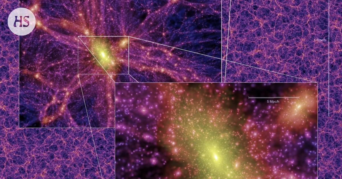 When you know the model of the slime fungus’ spread, it helps you visualize the large structures of space