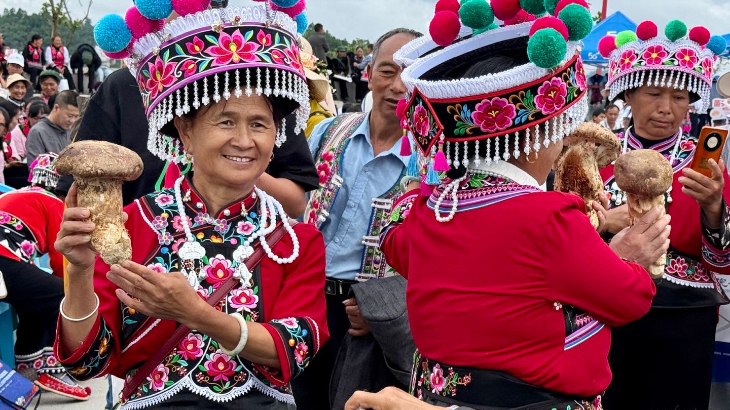 Travelers Followed by Cheerful Team to Rural China's Mushroom Festival