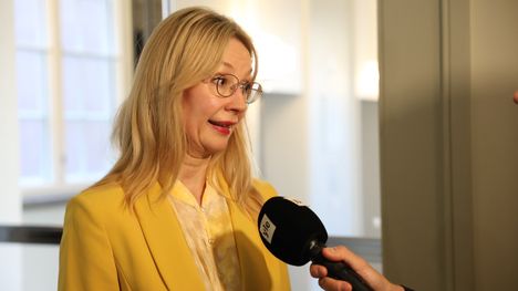 STT Sai Langettavan Tuomion Uutisestaan Tytti Tuppurainen Oli 