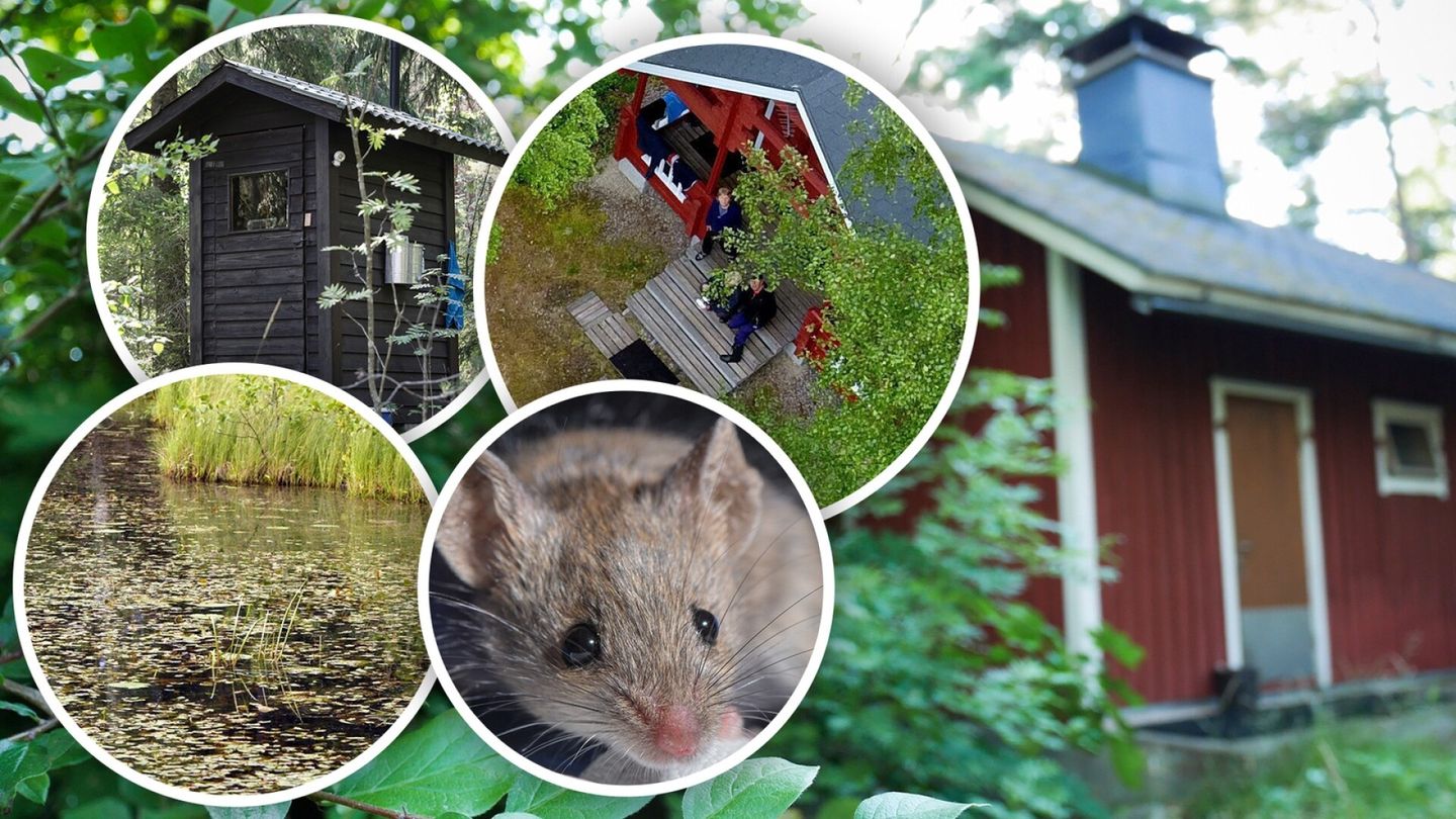 Mökille tupsahti vieras mies housut haisten – sitten hän lausui sanat, jotka eivät unohdu