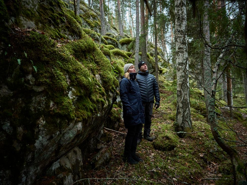 Kuopio Suojelee Lis Mets Ja Suota 250 vuotisjuhlavuotensa kuopio-suojelee-lis-mets-ja-suota-250-vuotisjuhlavuotensa