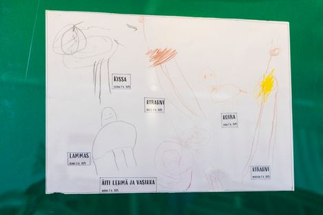 2–3-vuotiaat ovat piirtäneen kissan, kirahvin, koiran, lampaan sekä lehmän ja vasikan.