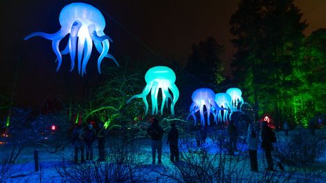 Valon polulla on luvassa muun muassa Rami Saarikorven mustekaloja.