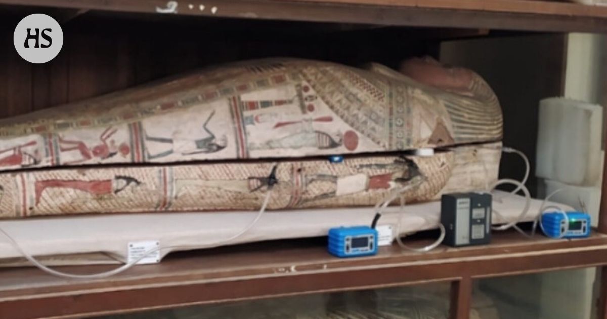 The smells of the Egyptian mummies were defined: woody, spicy, sweet …