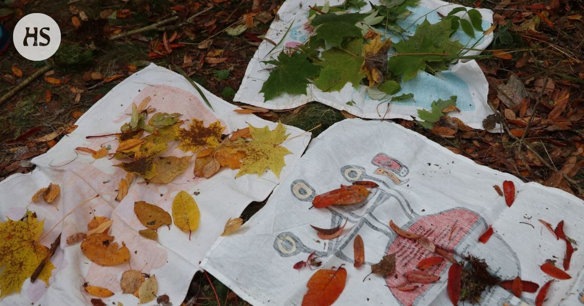 Luontoympäristöjen hyvinvointihyödyt ovat tutkittuja: lapset ja nuoret esimerkiksi keskittyvät paremmin, kokevat vähemmän stressiä ja osallistuvat aktiivisemmin.