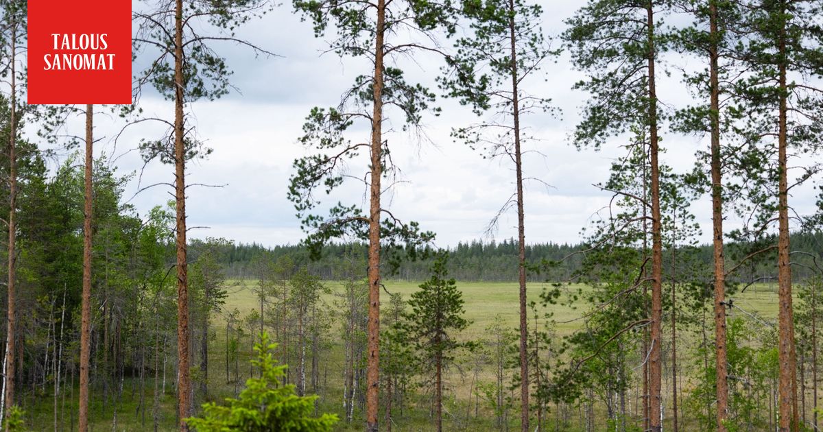 www.is.fi