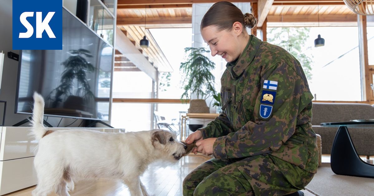 Reserviupseerioppilas Nele Suomi Armeija On Oma Maailmansa reserviupseerioppilas-nele-suomi-armeija-on-oma-maailmansa