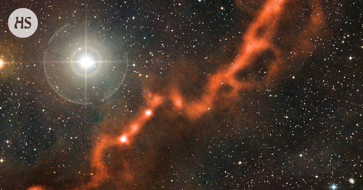 Did the Taurus constellation become the ingredients of life on earth