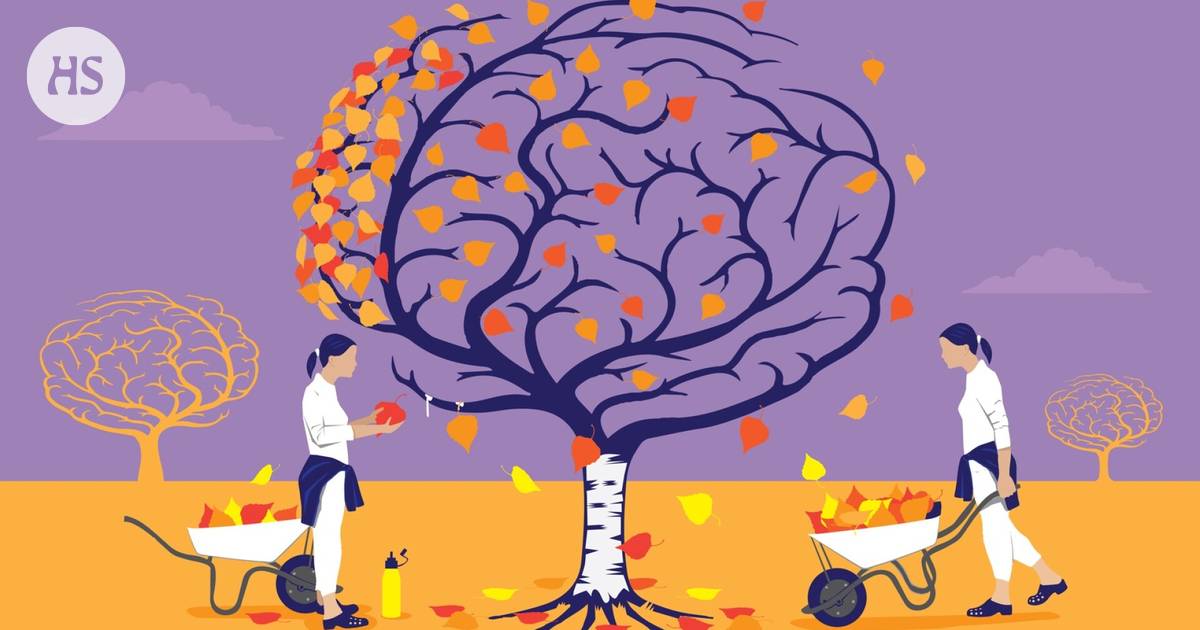 Memory disease is now being slowed down with medication – These are the treatments of the new wave