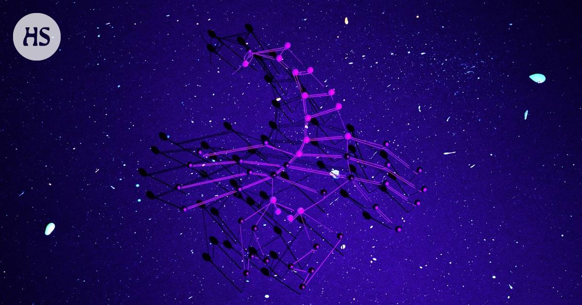 Research confirms that the horoscope has no connection with well-being