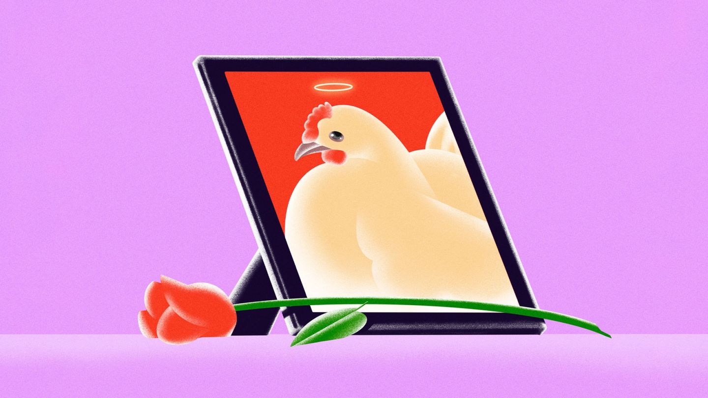 Pet Chicken's 'Journey to the Sky' Sparks Outrage, But Why?