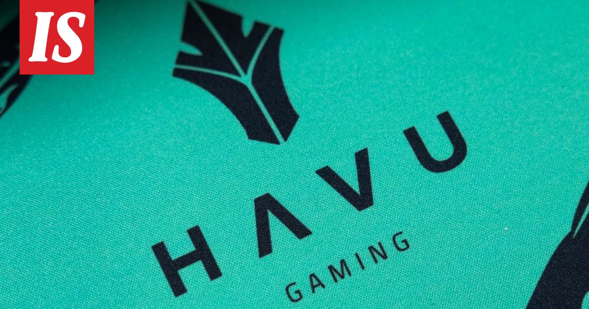 Финансовый кризис финской организации HAVU Gaming: выручка упала на четверть, а активы сократились почти в восемь раз