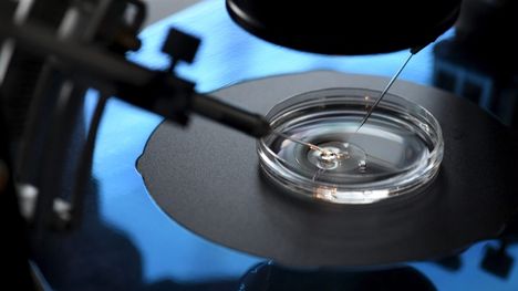 Koeputkihedelmöitys eli IVF-hoito on suosittu menetelmä lapsettomuushoidoissa. Alkio voidaan myös pakastaa myöhempää käyttöä varten. 