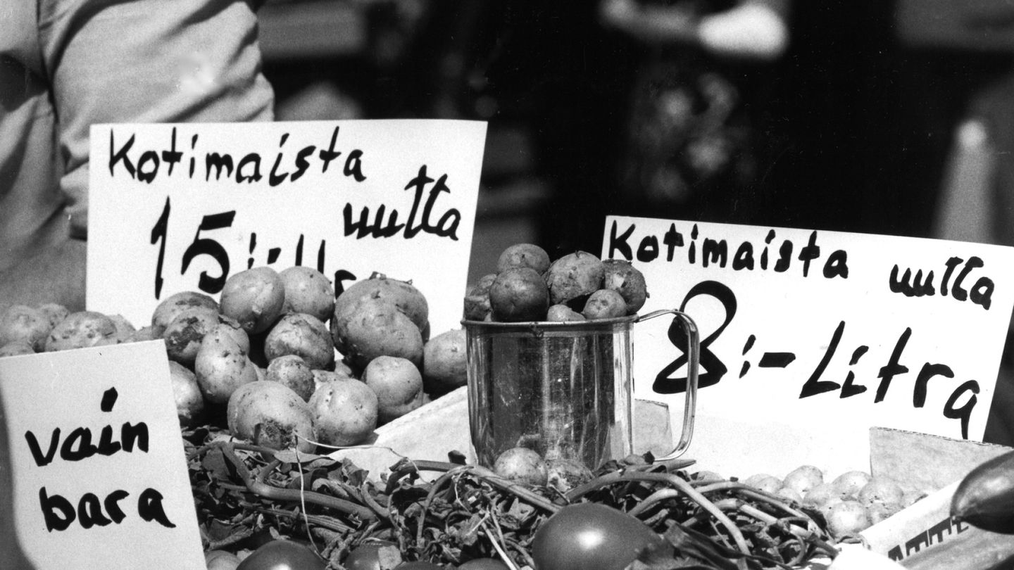 Turkish potato import threatens Finnish market
