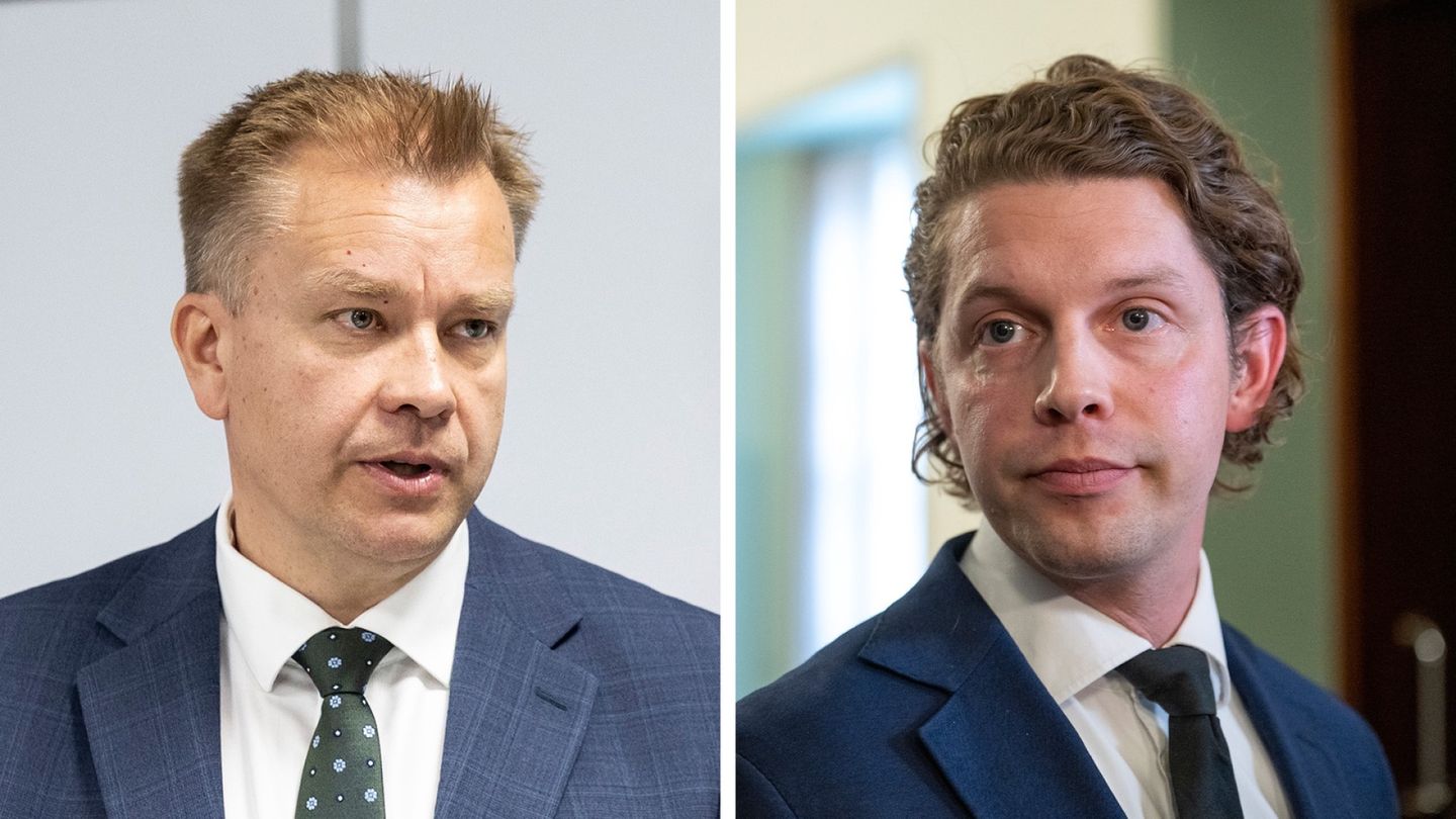 Finnish politician urges government to explore domestic ownership of electricity grid company Caruna